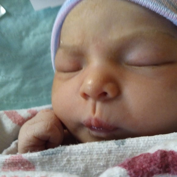 Meet your Posher, Cataleya - Picture 6 of 6